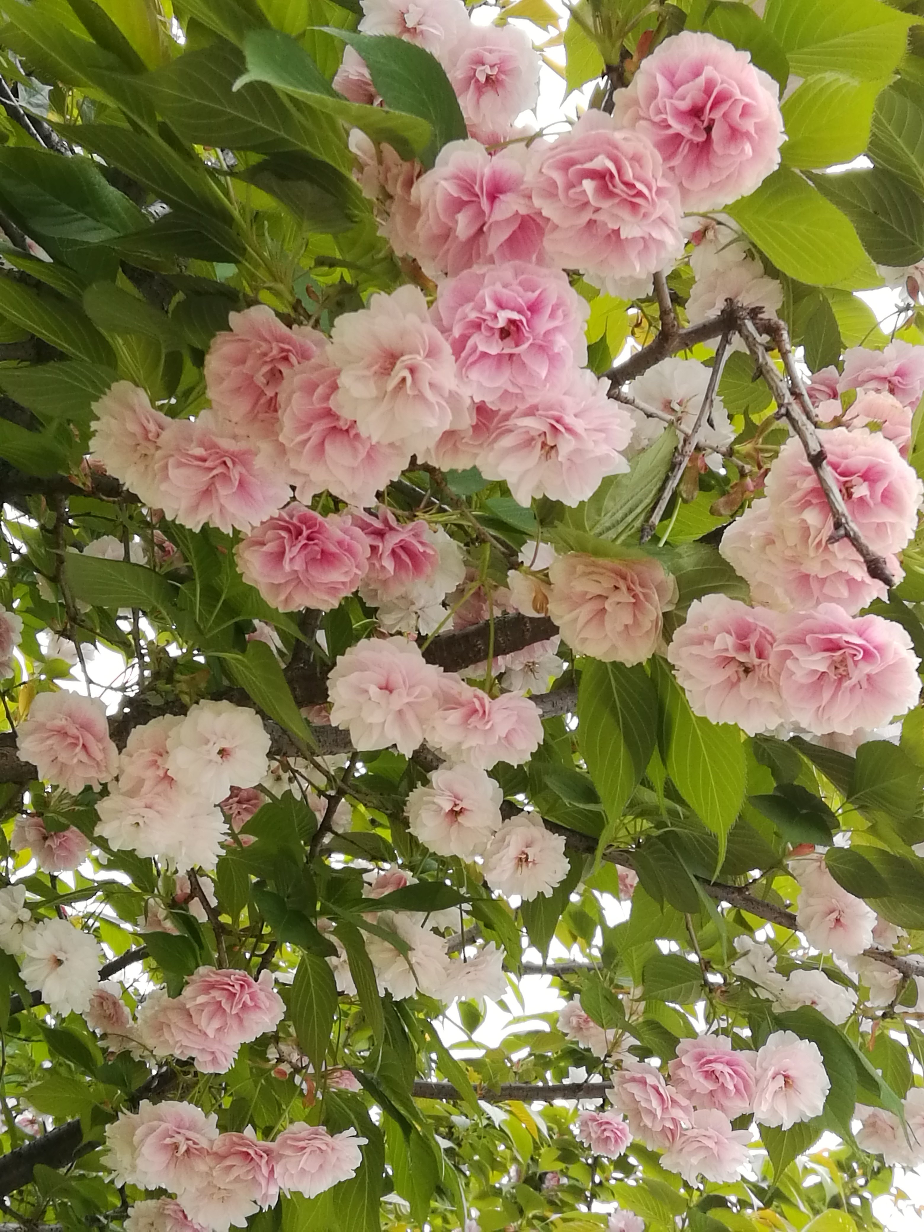 暂无