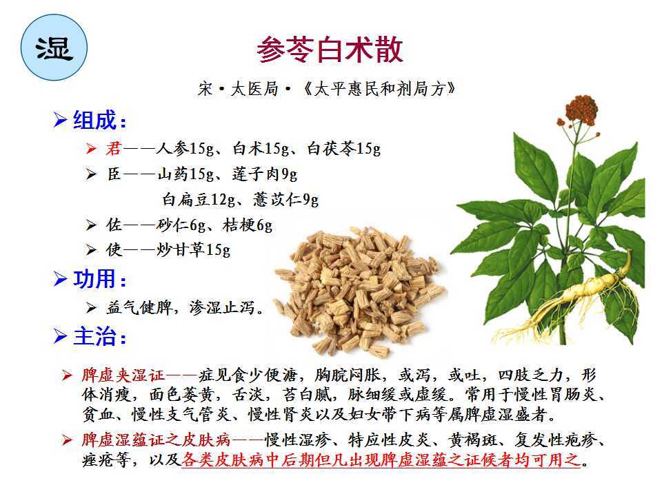 皮肤科临床方剂讲堂—参苓白术散