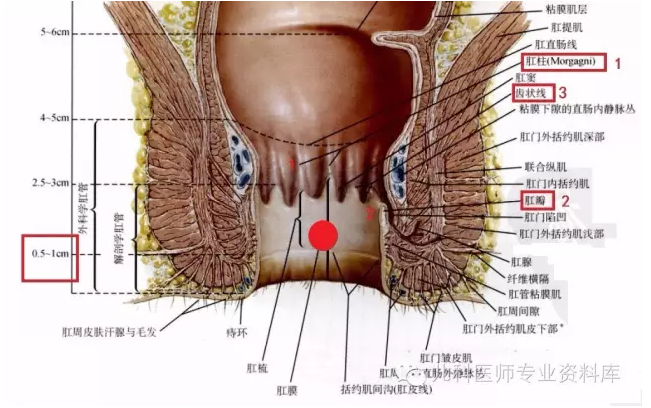 儿童肛裂怎么办? - 好大夫在线