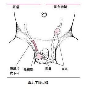 暂无
