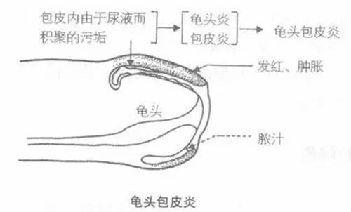 Alipay