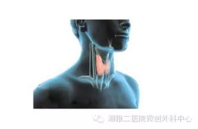 暂无