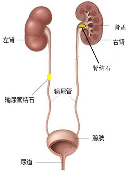 1504520440809043.png 图片.png