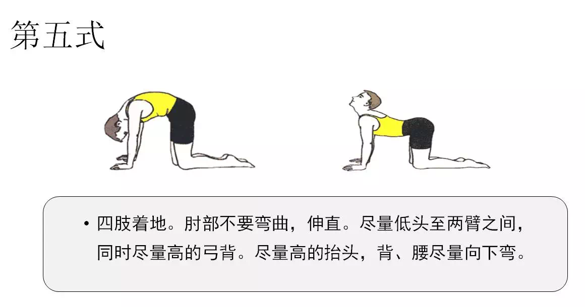 强直性脊柱炎的功能锻炼