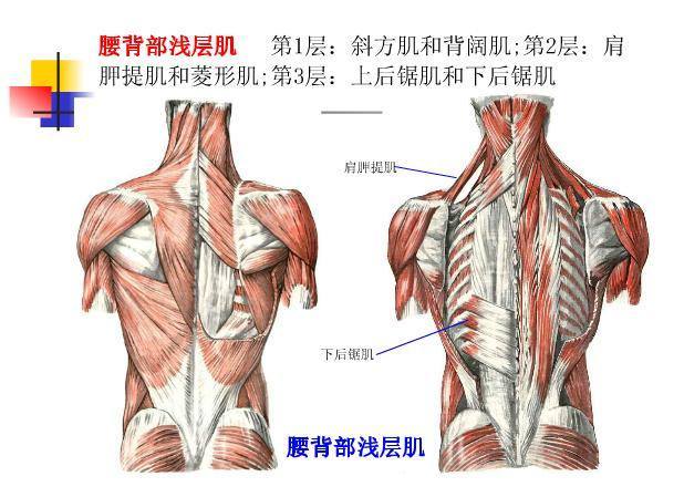 暂无