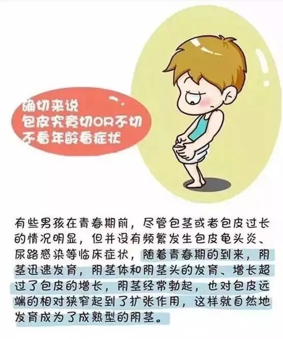 小儿包皮过长包茎怎么办