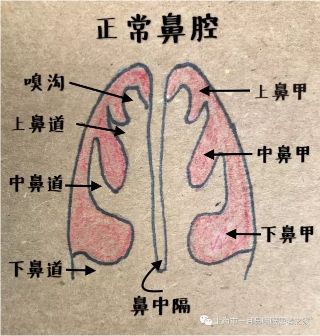 暂无