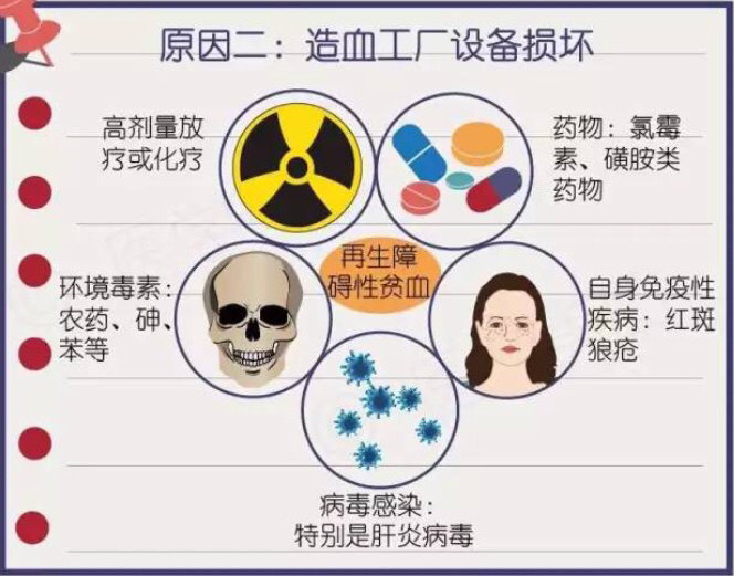 贫血的原因有哪些分别怎么诊治