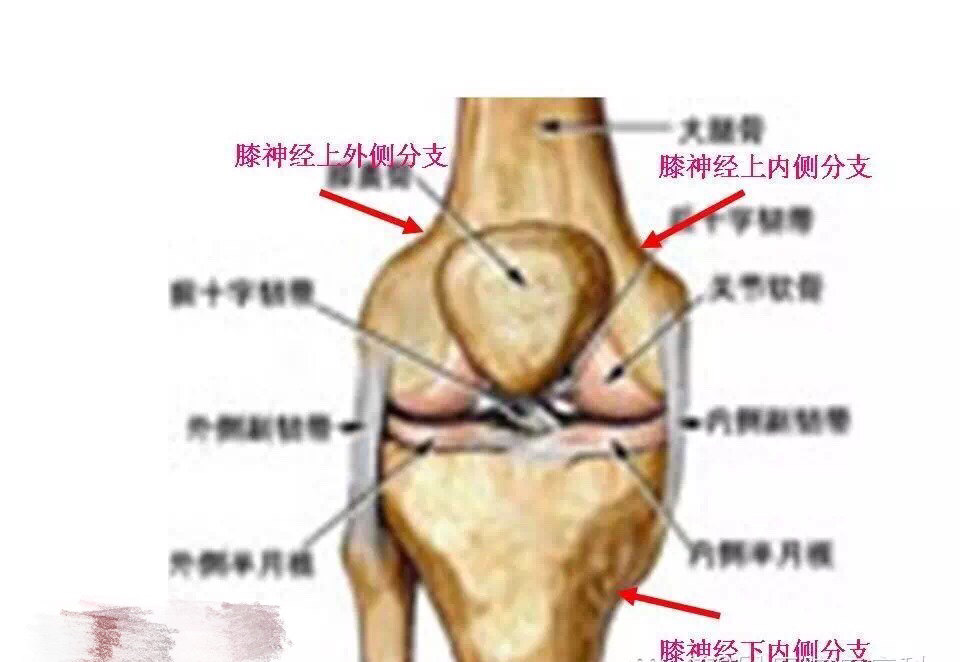 暂无