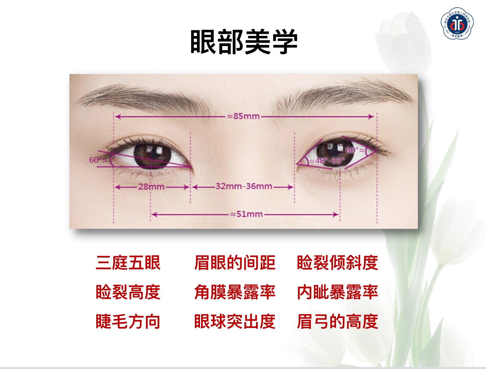 面部美学构架下的重睑手术设计