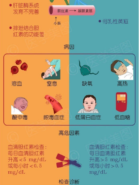 一圖讀懂丨生理性黃疸vs病理性黃疸