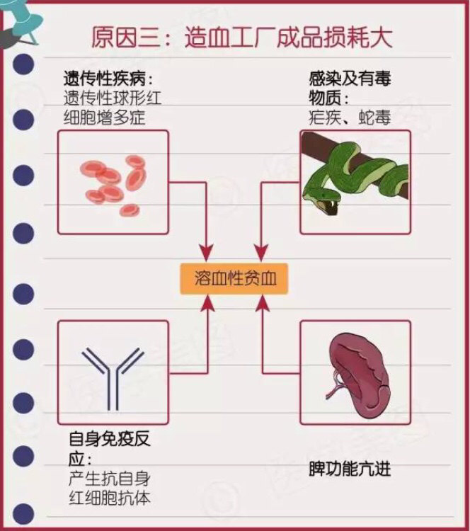 贫血的原因有哪些分别怎么诊治