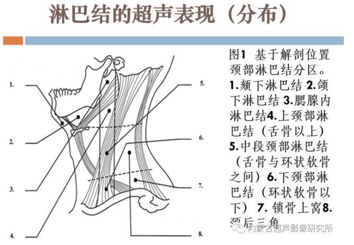 兒童頸部淋巴結超聲表現