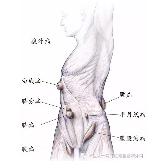 暂无