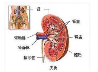 暂无