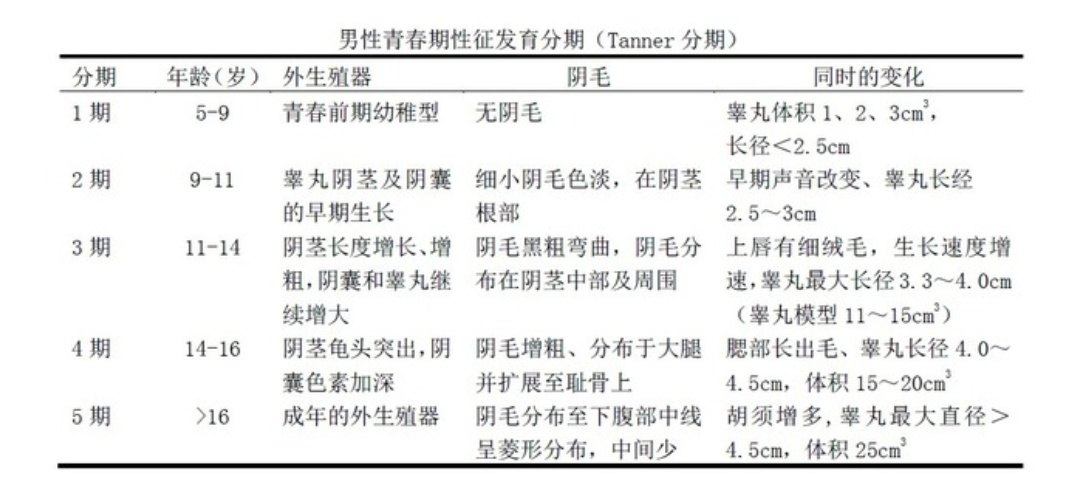 tanner分期标准图-千图网