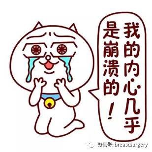暂无
