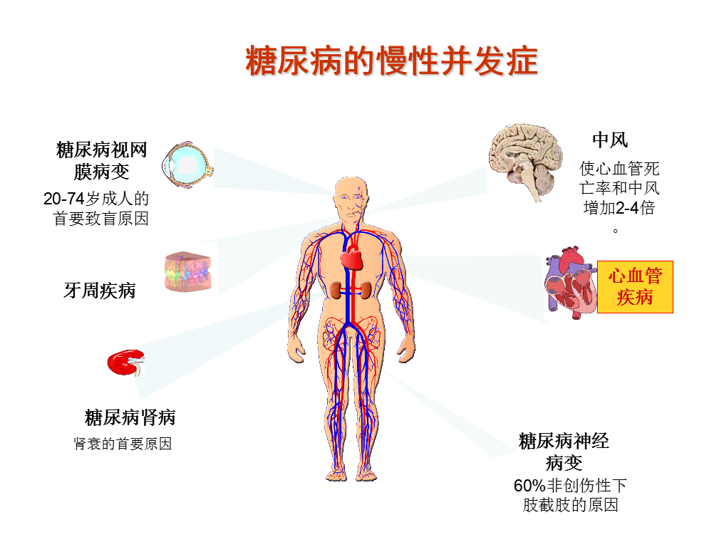 长期服用谷维素的危害图片