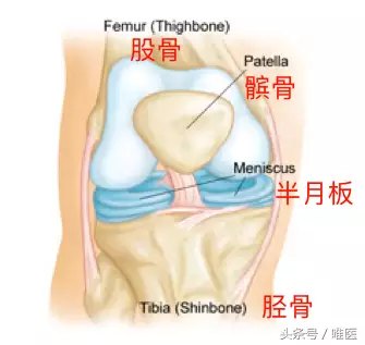 一文看懂半月板撕裂 就是膝盖软骨 好大夫在线