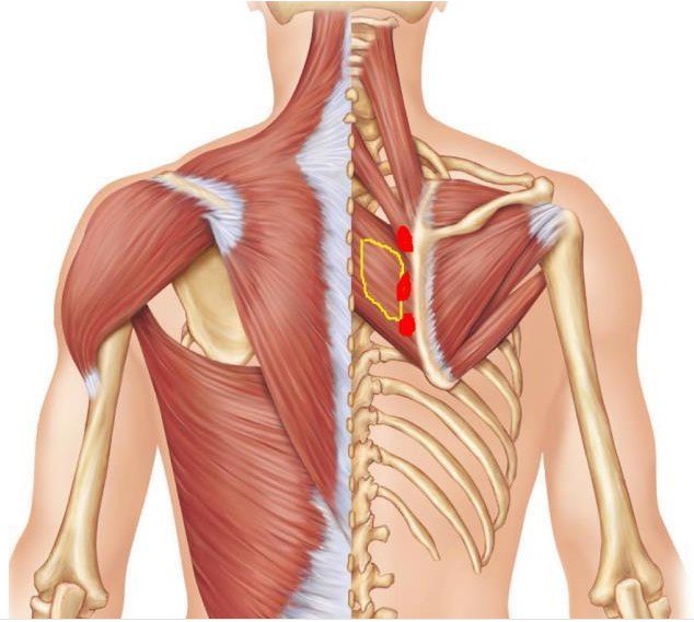 你好,颈椎病系列科普(一):哪些症状说明你得了颈椎病_颈椎病_疾病介绍