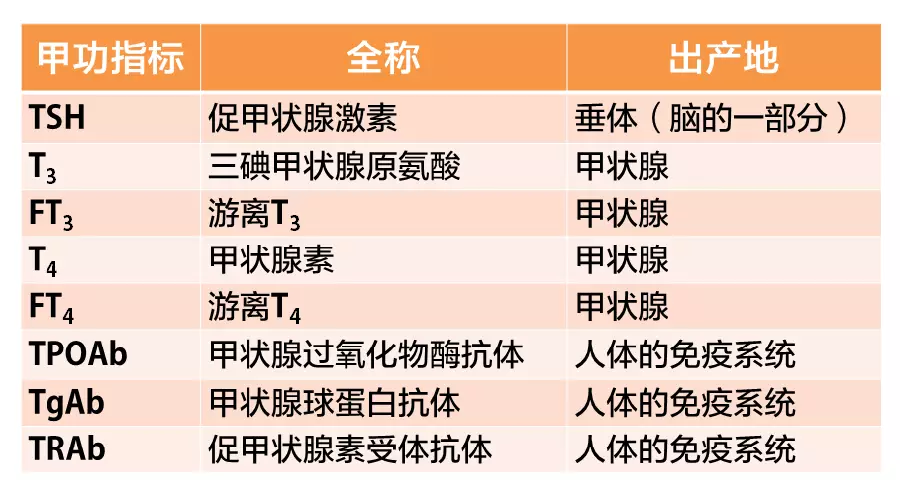 3 分鐘,教你看懂甲狀腺功能報告單 - 好大夫在線