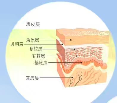 暂无