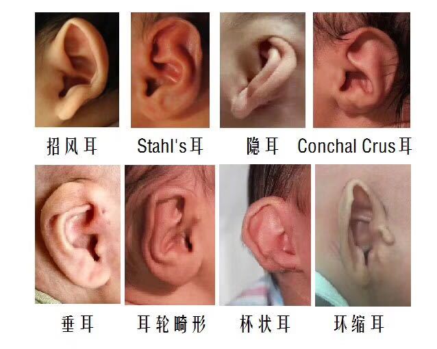 暂无