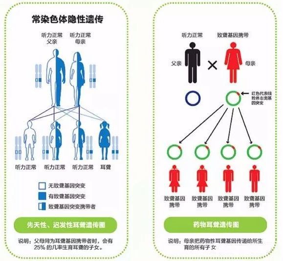 1978年被正式命名为一种先天性遗传性疾病,与常染色体隐性遗传有关,除