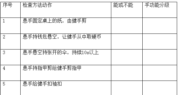 手功能分级图片