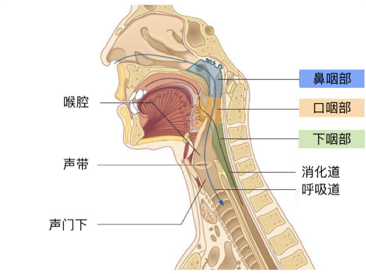 OSA素材图库.001.jpeg