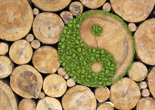 七损八益与养生 - 好大夫在线