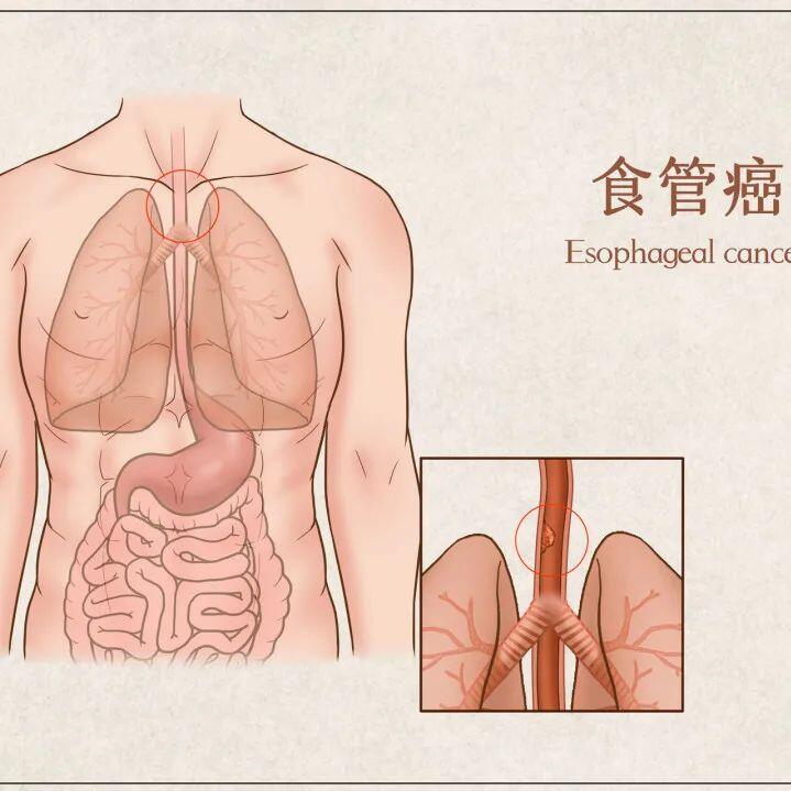 图文图片