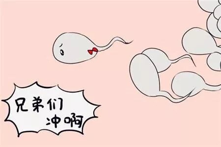 圖文圖片