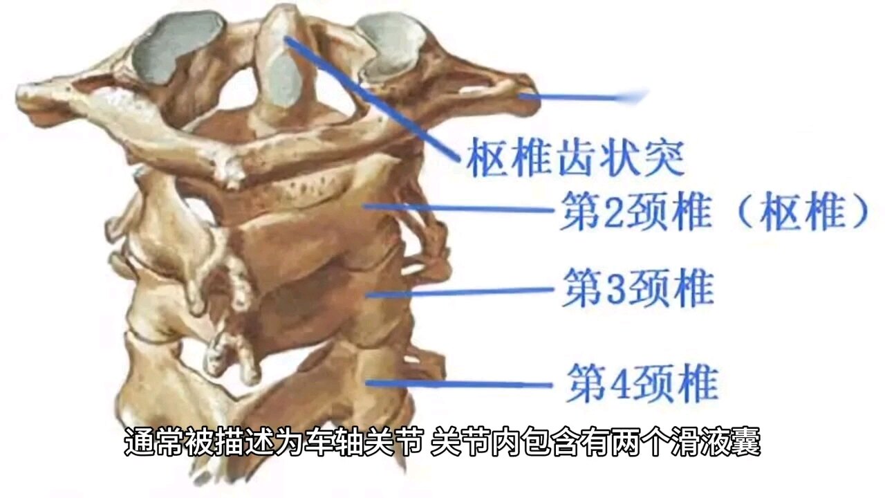 默认图片