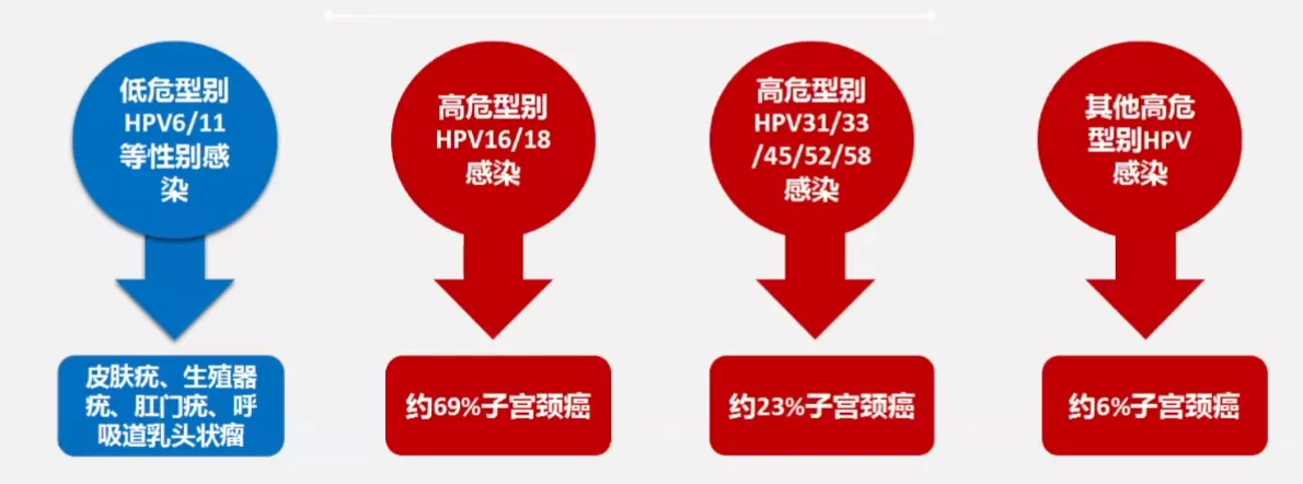 【专题精讲】hpv及子宫颈鳞状上皮低级别病变_hpv感染_介绍_治疗方式
