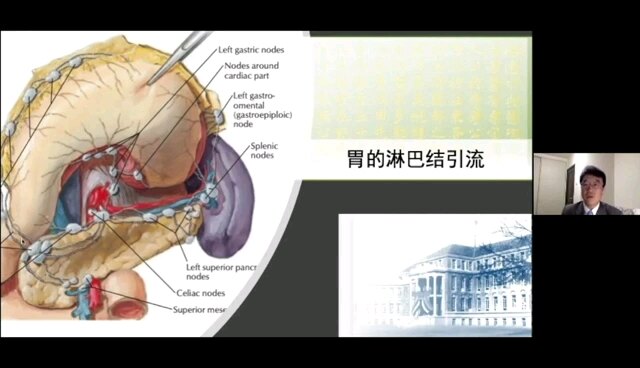 默认图片