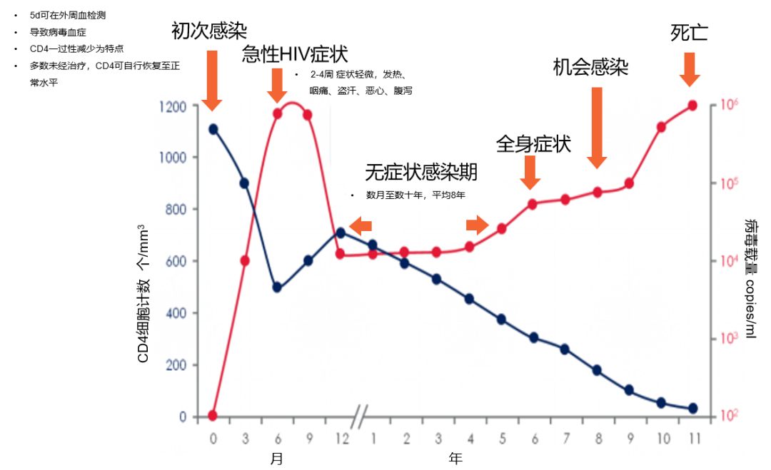 艾滋病發病四個過程及發病機制