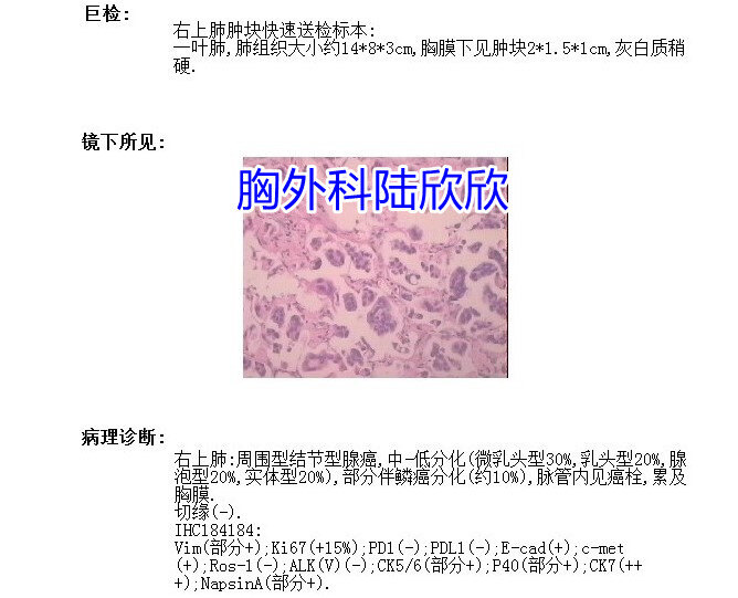 杜道红病理水印.jpg