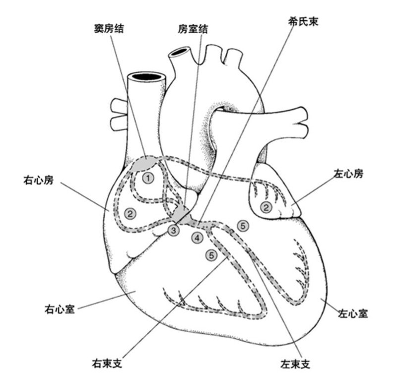 圖文圖片