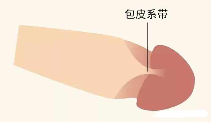 m.haodf.com