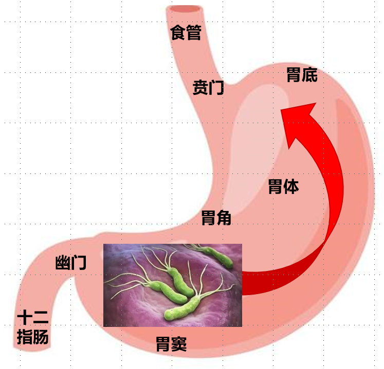 圖文圖片