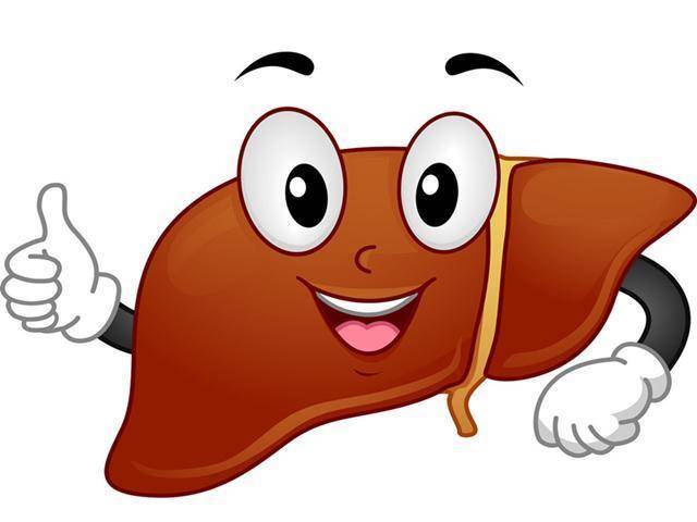 肝细胞卡通图片