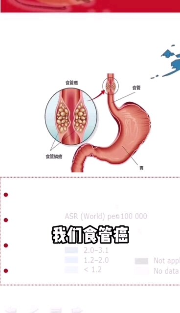 默认图片