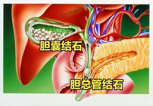 圖文圖片
