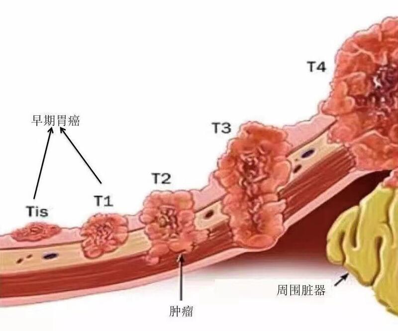 微信图片_20230207094546.jpg