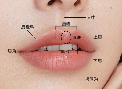 只有唇珠饱满了