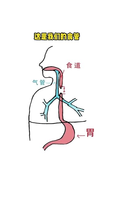 默认图片