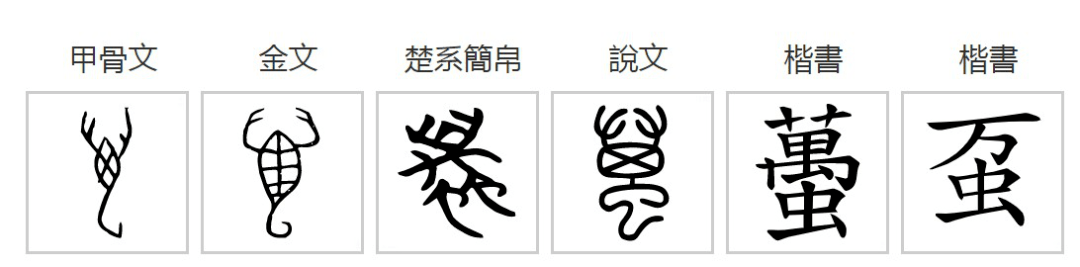 全蝎甲骨文.png