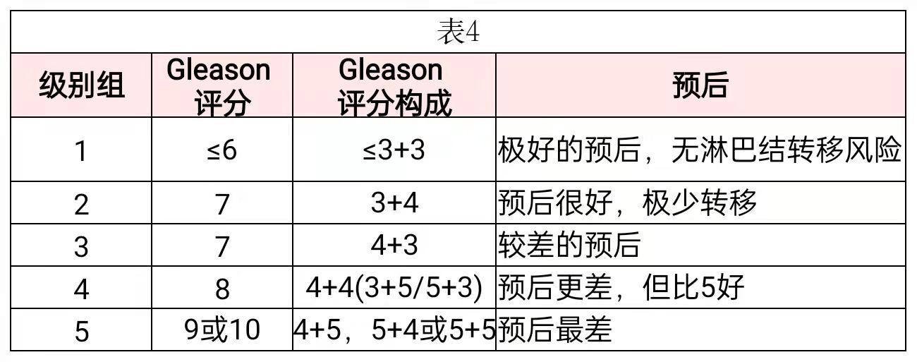 系统根据患者tnm分期,治疗前前列腺特异抗原(psa)和gleason评分和分级