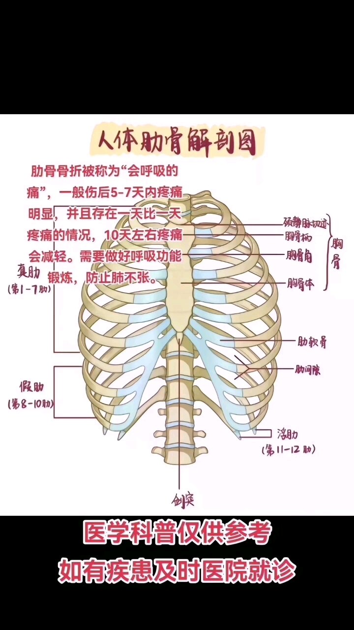 默认图片